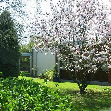 Agena Faches-Thumesnil