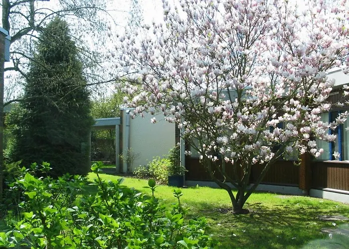 Agena Faches-Thumesnil